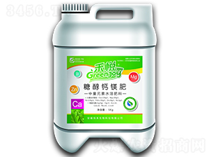 �Ǵ��}�V��-�̐�-��������