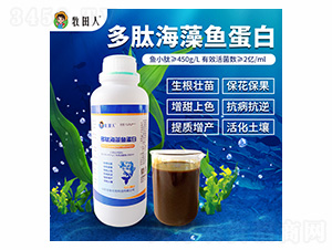 ���ĺ����~����-������