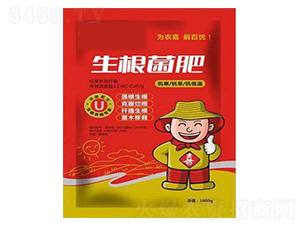 ��һ����������-���_(d��)����