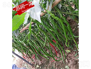 �K��һ��-�����N��-�K���N�I(y��)