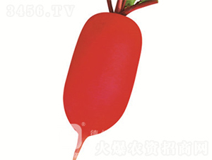 �tƤ�}��-�tС��-�}���N��-�¸߷N�I(y��)