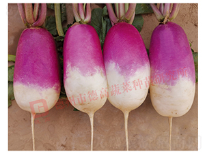 һ�c(di��n)�t�}��-R275-�}���N��-�¸߷N�I(y��)