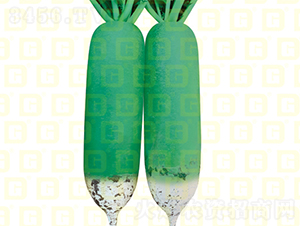 ˮ���}��-R16-�}���N��-�¸߷N�I(y��)