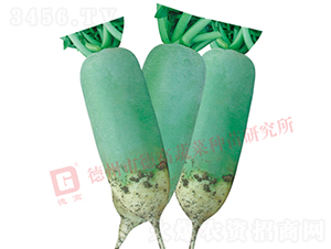 ˮ���}��-��Ȫ-�}���N��-�¸߷N�I(y��)