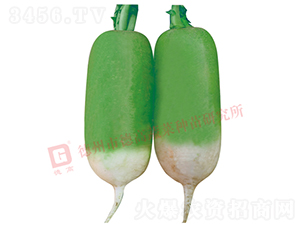 �S�GƤ�}��-R117-�}���N��-�¸߷N�I(y��)