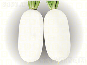 ���}��-�¸�ˮ��-�}���N��-�¸߷N�I(y��)