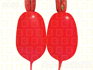 �tƤ�}��-�¸����o�t-�}���N��-�¸߷N�I(y��)