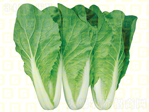 �~ɫ�^�G���-�¸�CR1833-��˷N��-�¸߷N�I(y��)