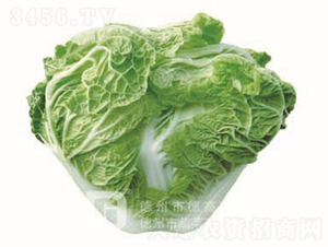 �＾�ײ�-С��65-��ײ˷N��-�¸߷N�I(y��)