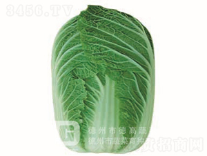 �＾�ײ�-�F��2̖-��ײ˷N��-�¸߷N�I(y��)