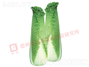 ��ѿ�B��-�¸�S747-��ײ˷N��-�¸߷N�I(y��)