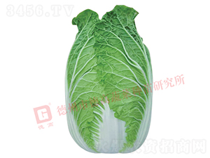 �����[���ײ�-CR1028-��ײ˷N��-�¸߷N�I(y��)