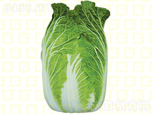 �����[���ײ�-�¸�ӯ��-��ײ˷N��-�¸߷N�I(y��)