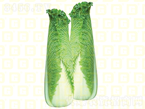 ��ѿ�B��-�¸�����7̖-��ײ˷N��-�¸߷N�I(y��)