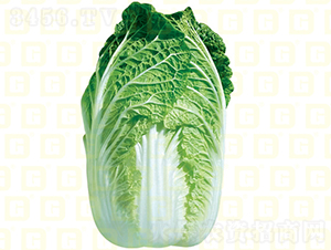 ������ײ�-�¸߸�ɽ��-��ײ˷N��-�¸߷N�I(y��)