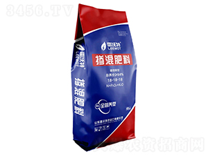 �������18-18-18-������