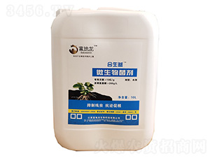 ������΢�������-������