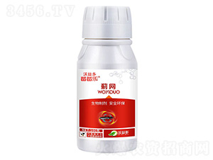 �E�W(w��ng)�๦�ܲݱ���Ϣ��-ݮݮ��-�����