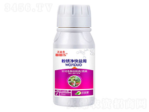 ���P��������-ݮݮ��-�����