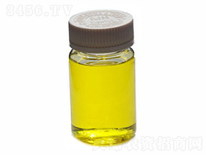 Һ�w���}��-ïʩ����