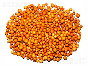 ����n�w����ጷ�15-7-13-ïʩ����