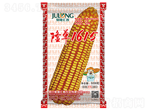 ¡��1615-���׷N��-��¡�R��