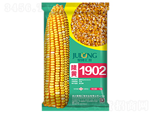 ¡�S1902-���׷N��-��¡�R��