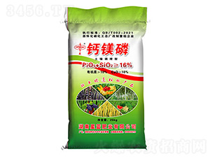 �����{(di��o)�����}�V��-���{(l��n)�ʘI(y��)