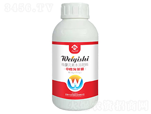 ���Ժ�����-�����ڿ�