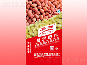 �����䷽��(f��)�����-�ζ�