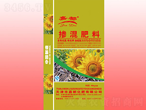 �����䷽�������-�ζ�