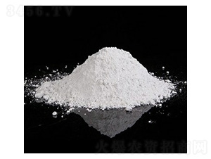 �����V�׷�-�Vï�Ƽ�