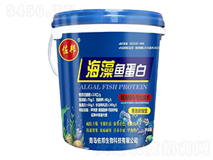 �����~(y��)����-����