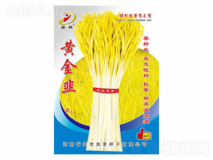 �S���F1-��(y��u)�N�I(y��)