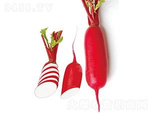 �M���t-�}���N��-�c�l(f��)��ʢ