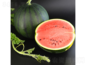 ī��1̖(h��o)-���ϷN��-�c�l(f��)��ʢ