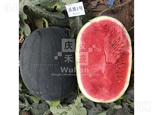 �̺�1̖(h��o)-���ϷN��-�c�l(f��)��ʢ