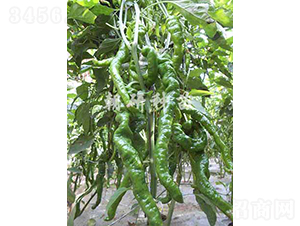 ��23-2-�����N��-���зN��