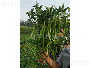 ��303-�����N��-���зN��