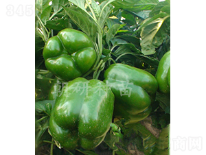 ��28-�𽷷N��-���зN��