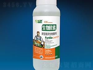 �������-����-������