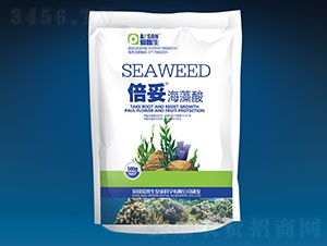 ���ס������ᣨ����-������