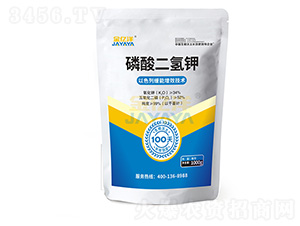 ��������-���|��