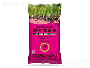 ΢�������-�ЙC(j��)�|(zh��)-�G�֞�-���ּ�