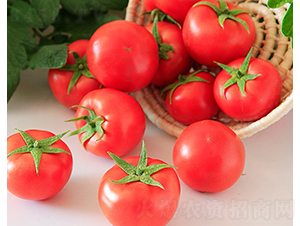 ����707-���ѷN��-���շN��