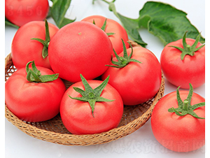 ����911-���ѷN��-���շN��