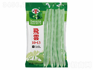 �w�(y��n)10-13-�Z���_