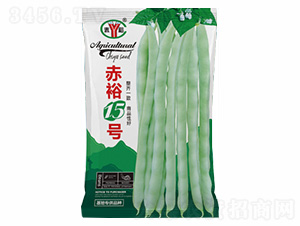 ��ԣ15̖-�Z���_