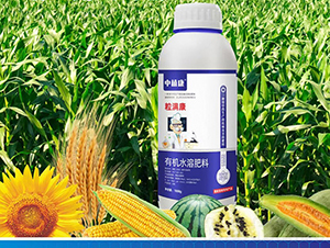 �ЙC(j��)ˮ�ܷ���-���M(m��n)��-��ֲ��