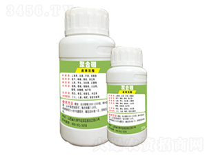 �ۺ���-�G�̿�-�x����